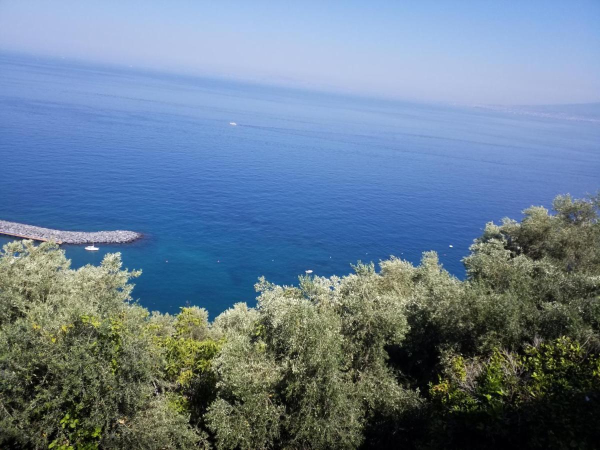 Mediterranean Apartments Capo dʼOrlando Esterno foto